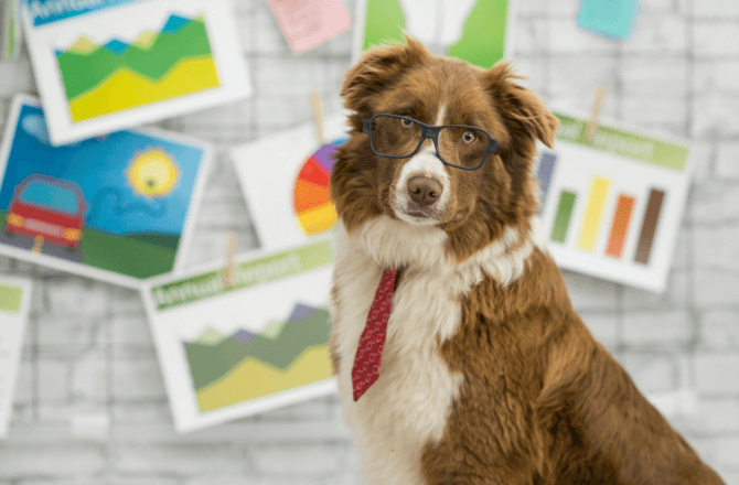 Dog wearing glasses sitting in front of table with printed Powerpoint slides